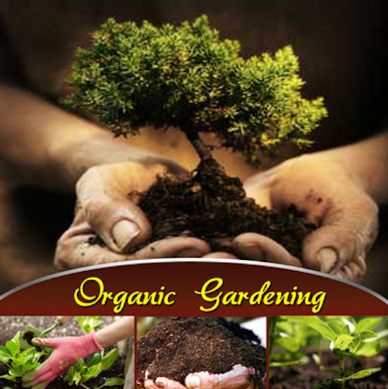 Organic Gardening Banner