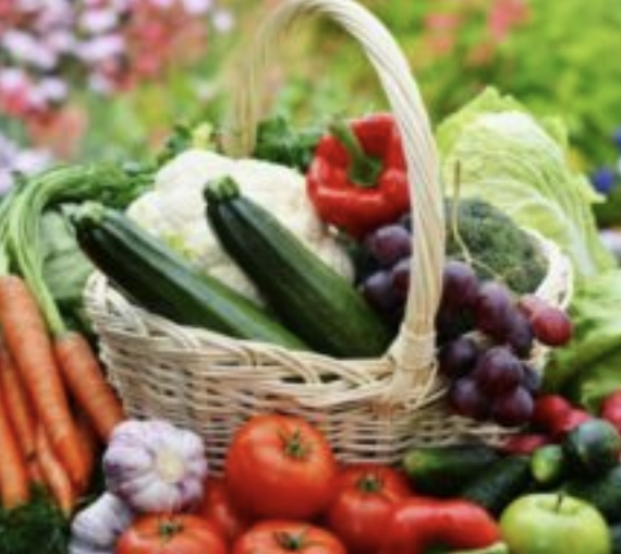 Organic Gardening basket of vegetables and fruit