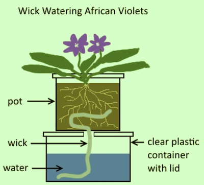 Directions wicks watering system for indoor pots