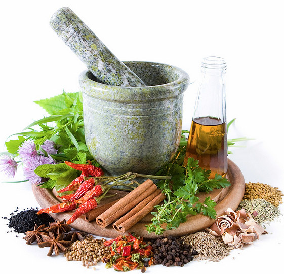 Growing Medicinal Plants Herbs Herbal Remedies that Heal