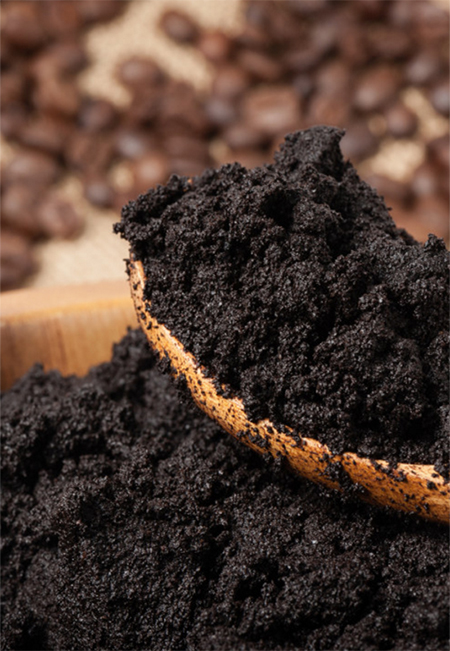 Useful ways to reuse Coffee Grounds in your garden