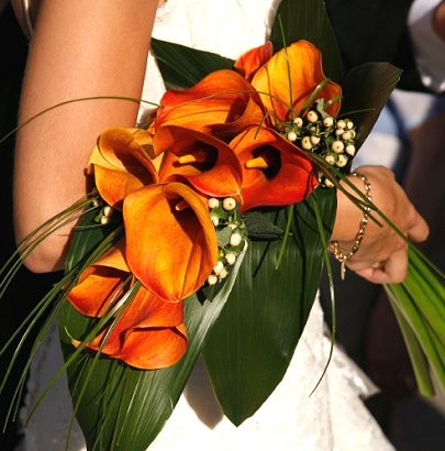 Calla-Lilies-as-a-bridal-bouquet