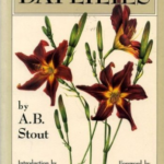 Daylilies this was published in 1934