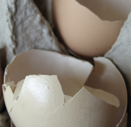 eggshells in an egg carton for the garden