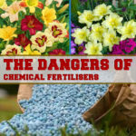 chemical fertilisers showing the danger